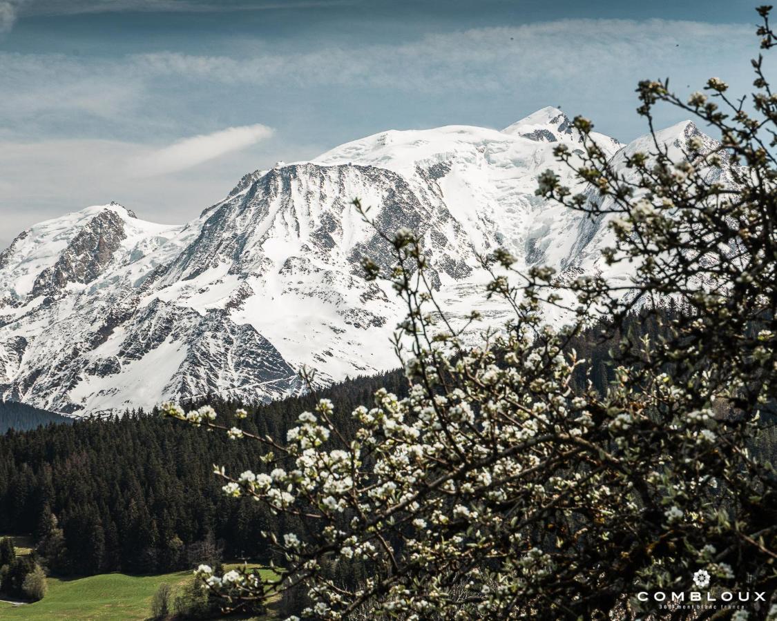 Chalet Alpen Valley, Mont-Blanc Combloux Exterior photo